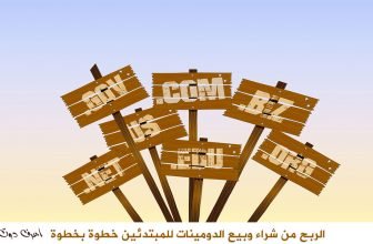 تجارة الدومينات الربح من شراء وبيع الدومينات للمبتدئين خطوة بخطوة