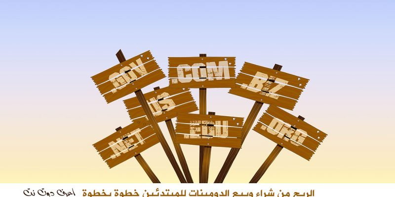 تجارة الدومينات الربح من شراء وبيع الدومينات للمبتدئين خطوة بخطوة