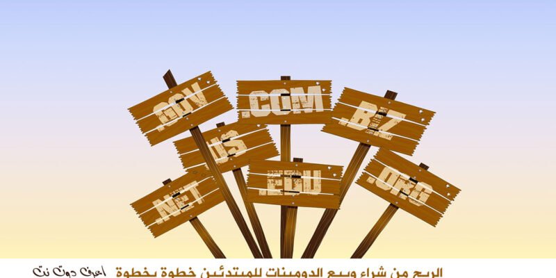 تجارة الدومينات الربح من شراء وبيع الدومينات للمبتدئين خطوة بخطوة